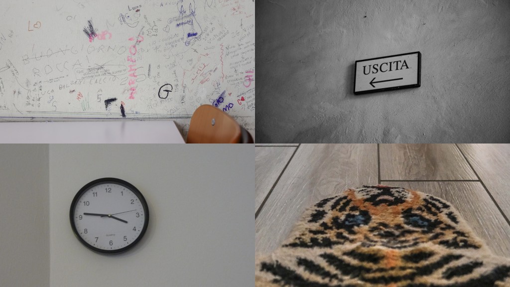 Testi mostra In-Camera